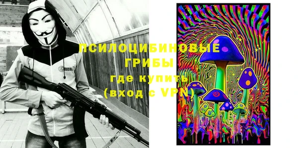 стафф Арсеньев