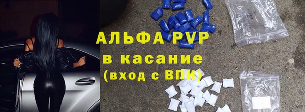 стафф Арсеньев