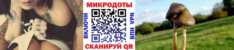 кракен ТОР  хочу наркоту  Хотьково  Псилоцибиновые грибы Psilocybine cubensis 