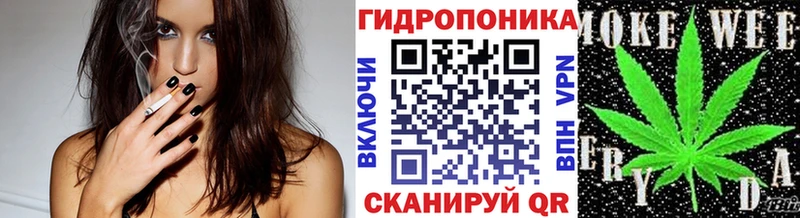 Бошки марихуана OG Kush  MEGA ССЫЛКА  сайты даркнета телеграм  Хотьково 